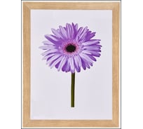 Пластиковая рамка ООО Изометрика Lada 10x15 см дуб 0097-4-0046