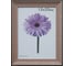 Пластиковая рамка ООО Изометрика Jasmin 15x20 см розовая 0096-6-3440 1