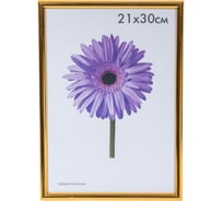 Пластиковая рамка ООО Изометрика Maria 21x30 см золото 0052-8-0021
