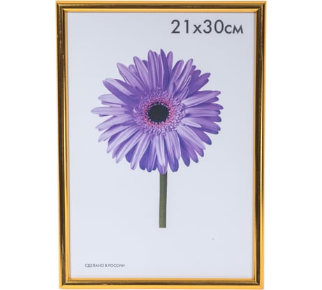 Пластиковая рамка ООО Изометрика Maria 21x30 см золото 0052-8-0021