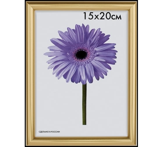 Пластиковая рамка ООО Изометрика Maria 15x20 см золото 0052-6-0021