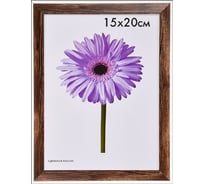 Пластиковая рамка ООО Изометрика Lada 30x40 см орех 0097-15-0006