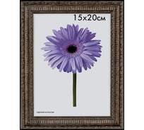 Пластиковая рамка ООО Изометрика Simona 10x15 см бронза 0068-4-0190