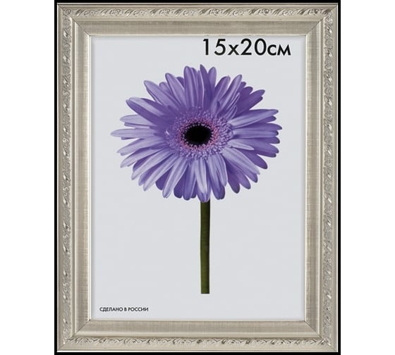 Пластиковая рамка ООО Изометрика Rosa 21x30 см серебро 0049-8-2125 1