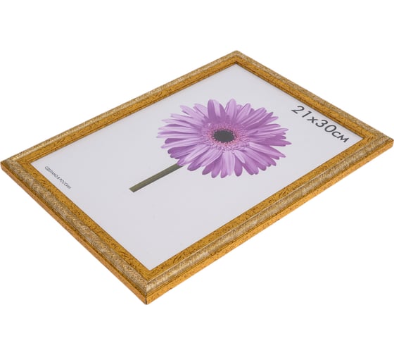 Пластиковая рамка ООО Изометрика Rosa 21x30 см золото 0049-8-2123 1