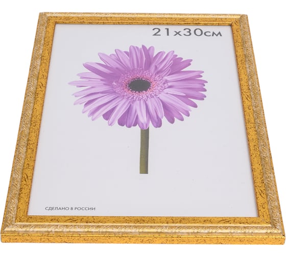 Пластиковая рамка ООО Изометрика Rosa 21x30 см золото 0049-8-2123
