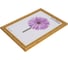 Пластиковая рамка ООО Изометрика Rosa 21x30 см золото 0049-8-2123 1