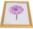 Пластиковая рамка ООО Изометрика Rosa 21x30 см золото 0049-8-2123 2