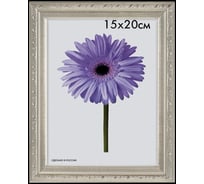 Пластиковая рамка ООО Изометрика Rosa 15x20 см серебро 0049-6-2125