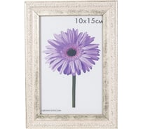 Пластиковая рамка ООО Изометрика Rosa 10x15 см серебро 0049-4-2125