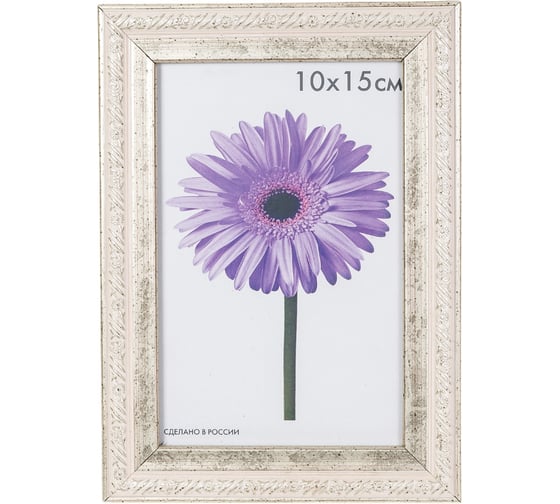 Пластиковая рамка ООО Изометрика Rosa 10x15 см серебро 0049-4-2125