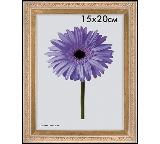 Пластиковая рамка ООО Изометрика Rosa 10x15 см золото 0049-4-2123 1