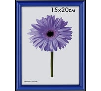 Пластиковая рамка ООО Изометрика Maria 40x50 см синяя 0052-16-0004