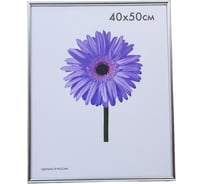 Пластиковая рамка ООО Изометрика Maria 40x50 см серебро 0052-16-0022