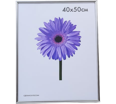 Пластиковая рамка ООО Изометрика Maria 40x50 см серебро 0052-16-0022