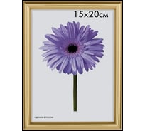 Пластиковая рамка ООО Изометрика Maria 30x40 см золото 0052-15-0021