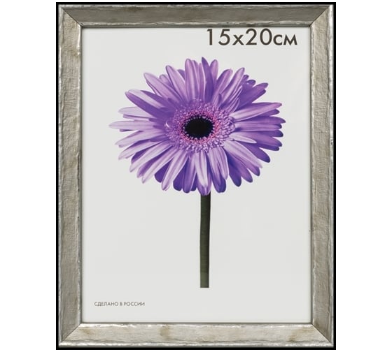 Пластиковая рамка ООО Изометрика Viola 40x50 см светло-серая 0118-16-4507 1
