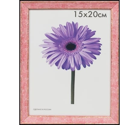 Пластиковая рамка ООО Изометрика Viola 15x20 см розовая 0118-6-4513