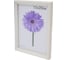 Пластиковая рамка ООО Изометрика Viola 15x20 см белая 0118-6-4509 2