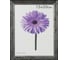 Пластиковая рамка ООО Изометрика Viola 10x15 см темно-серая 0118-4-4508 1