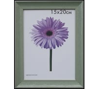 Пластиковая рамка ООО Изометрика Jasmin 15x20 см зеленая 0096-6-3441