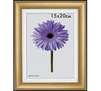 Пластиковая рамка ООО Изометрика Gella 60x80 см золото 0079-60-0547