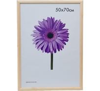 Некрашеная деревянная рамка ООО Изометрика Berta 50x70 см 0006-50-0000 22865775