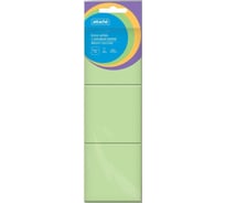 Стикеры Attache Bright colours с клеевым краем 38x51 мм салатовый 100 листов 3 шт в наборе 1495383
