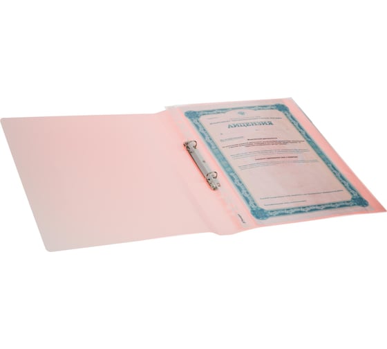 Папка Attache Neon на 2-х кольцах А4 18 мм, плотность 500 мкм, оранжевый 1466526