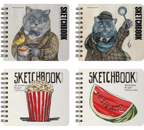 Sketchbook Bruno Visconti BV 180х155 мм, 120 листов, пухлая, 60 гр, на гребне, 4 вида 1-550/01 1