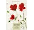 Sketchbook Bruno Visconti BV В5 188х259 мм, 24 листов, бежевый 160 гр, в мягком переплете, МИКС 3-585/01 2