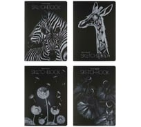 Sketchbook Bruno Visconti BV 179х250 мм, 60 листов, тетрадь черный 80 гр, прошитый блок, 4 вида МИКС 1 3-582/01