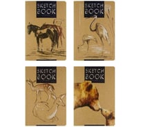 Sketchbook Bruno Visconti BV 147х210 мм, 40 листов, тетрадь крафт 70 гр, прошитый блок, 4 вида 3-581/01