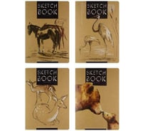 Sketchbook Bruno Visconti BV 179х250 мм, 60 листов, тетрадь крафт 70 гр, прошитый блок, 4 вида 3-583/01