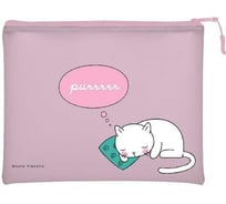 Папка на молнии Bruno Visconti CAT'S DREAMING силикон, ФА5+ 26х20 см 14-005/15