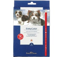 Цветные карандаши Bruno Visconti EASYCOLOR 36 цветов 30-0033