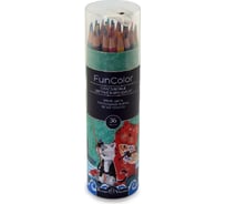 Цветные карандаши Bruno Visconti FUNCOLOR пластик, в картонной тубе, 36 цветов 30-0088