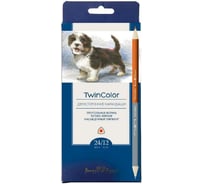 Цветные карандаши Bruno Visconti TWINCOLOR 24 цвета, 12 штук 30-0050
