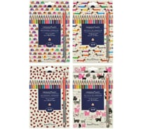 Цветные карандаши Bruno Visconti TWINCOLOR HAPPY 36 цветов, 18 штук, 4 вида 30-0082