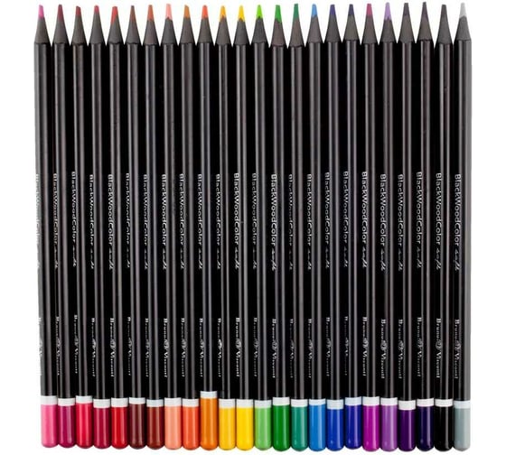 Цветные пластиковые карандаши Bruno Visconti BlackWoodColor 24 цвета, 3 вида 30-0099