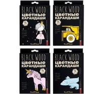 Цветные пластиковые карандаши Bruno Visconti BlackWoodColor 36 цветов, 3 вида 30-0101