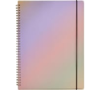 Бизнес-тетрадь Attache Selection Rainbow A4 80 листов, клетка, спираль 218x294 мм 1429369
