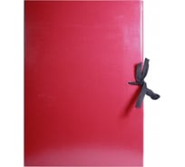 Папка архивная складная 120мм бордо Attache 1479872