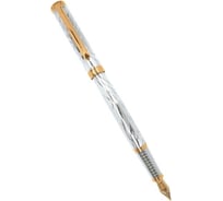 Перьевая ручка Pierre Cardin Evolution - Zebra, M PC1026FP-G