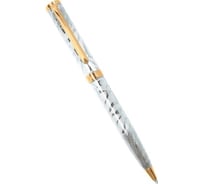 Шариковая ручка Pierre Cardin Evolution - Zebra, M PC1026BP-G