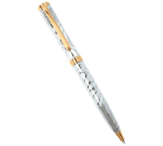 Шариковая ручка Pierre Cardin Evolution - Zebra, M PC1026BP-G 1