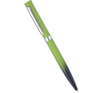 Шариковая ручка Pierre Cardin Actuel - Green & Black PC0516BP