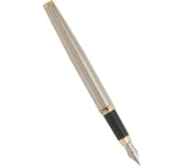 Перьевая ручка Pierre Cardin Eco - Steel GT PC0865FP