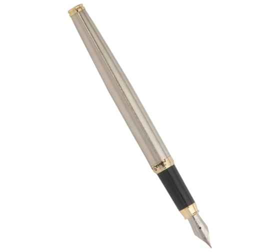 Перьевая ручка Pierre Cardin Eco - Steel GT PC0865FP