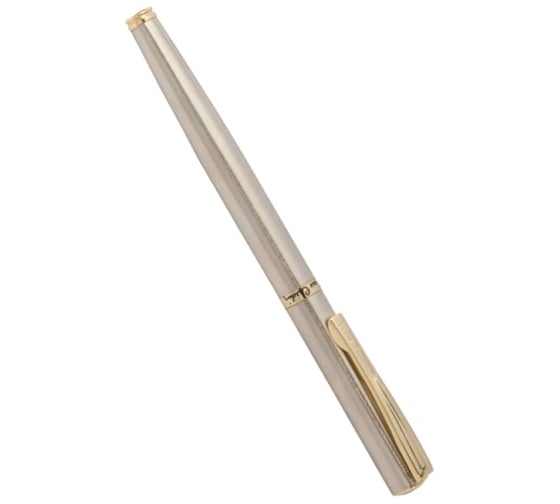 Перьевая ручка Pierre Cardin Eco - Steel GT PC0865FP